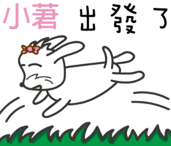 142361967