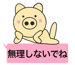 14239571