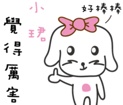 142411261