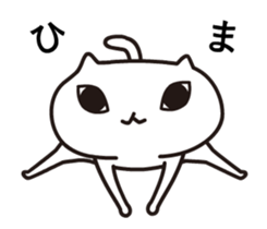 14253004
