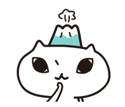 14253005