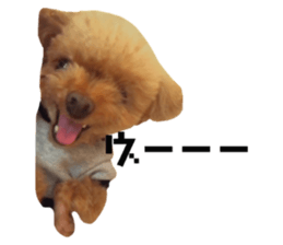 142533602