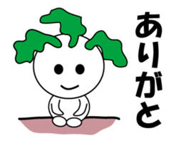 14258800