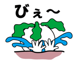 14258804
