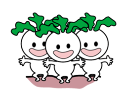 14258805