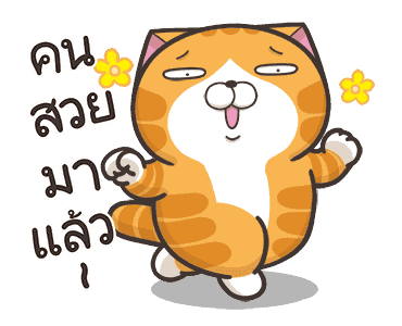เหมียวซ่า : สดใส ! รูปที่ 1