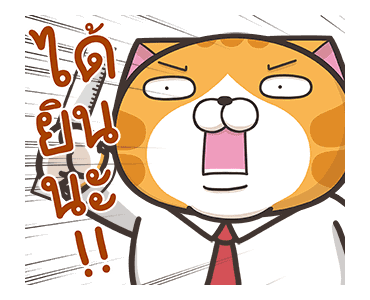 เหมียวซ่า : สดใส ! รูปที่ 9