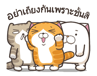เหมียวซ่า : สดใส ! รูปที่ 11