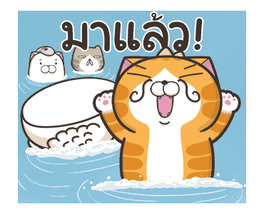 เหมียวซ่า : สดใส ! รูปที่ 15