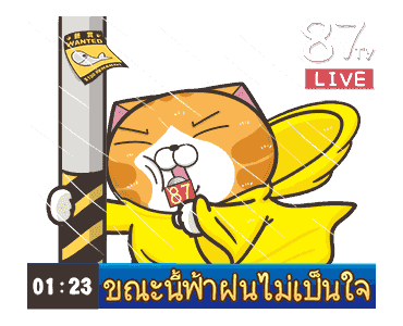 เหมียวซ่า : สดใส ! รูปที่ 24