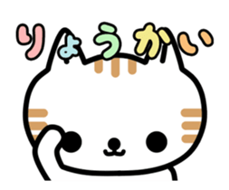 14270606