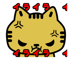 14270627