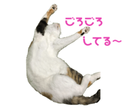 142731048