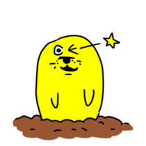 14287206
