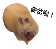 143056046