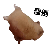 143056047