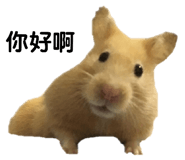143056048