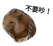 143056049