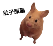 143056050