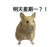 143056064