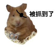 143056065