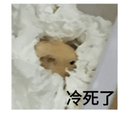 143056066