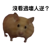 143056067