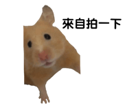 143056068
