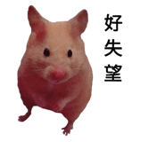 143056069