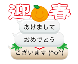 14306207
