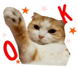14314775