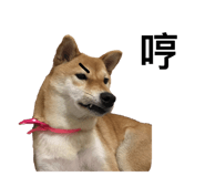 143203595