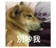 143203601