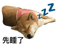 143203602