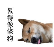 143203606
