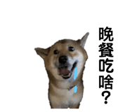 143203609