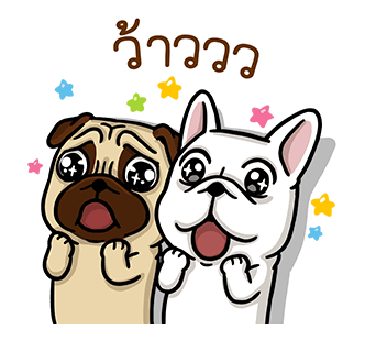 โดก้า ป๊อปอัพ รูปที่ 8