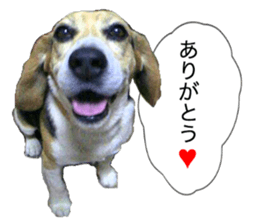 14343205