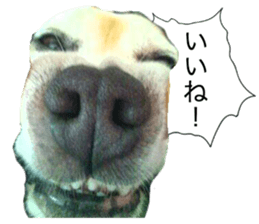 14343206