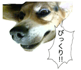 14343211