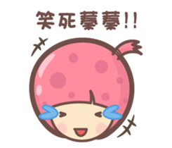 143505341