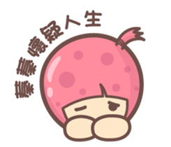 143505355