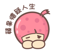 143525163