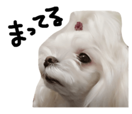 143546406