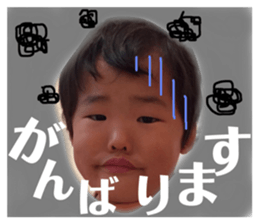 143550449