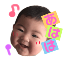 143712037