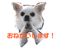 143823779