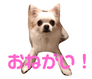 143823780