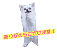 143823781