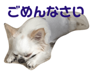 143823782